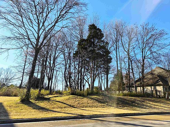 3rd image of 2447 Sanders Ridge Ln