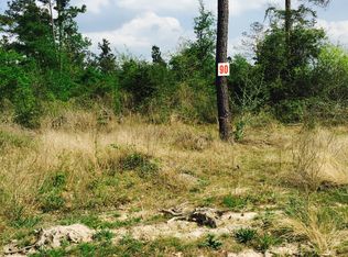 Heritage Ranch Road Tract 17 LOT 90, Conroe, TX 77301