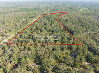 Vacant 29.54 Osteen Rd, Perry, FL 32348