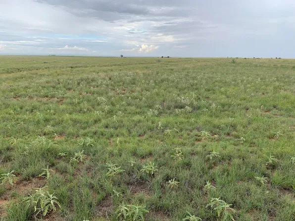 Bluegrass Rd, Estancia, NM 87016
