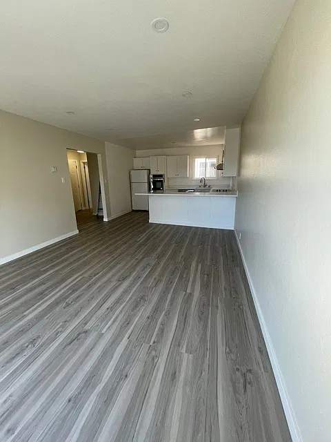 Living room and kitchen