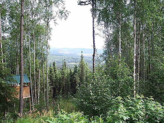 View of Goldstream Valley
