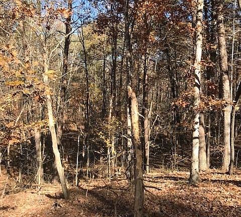 5th image of 500 Pigeon Creek Dr Lot 40