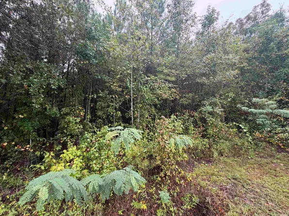 0 Reeves Dr, Midway, FL 32343