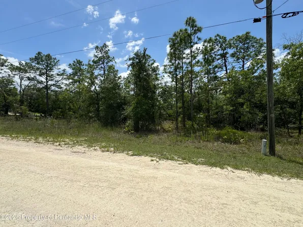 0 Scaup Duck Ave, Brooksville, FL 34614