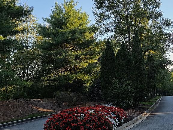3rd image of 248 Lake Life Way
