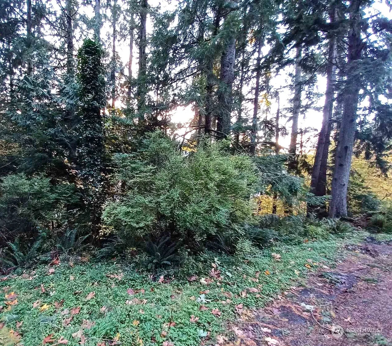 375 Sudden Valley Drive photo 1