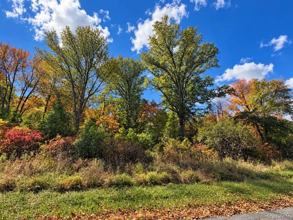 Rutsonville Road, Wallkill, NY 12589