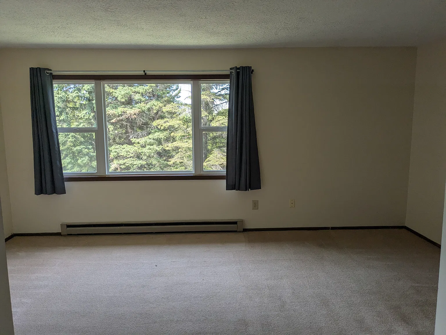 W Sharon Ave, Houghton — Photo 3