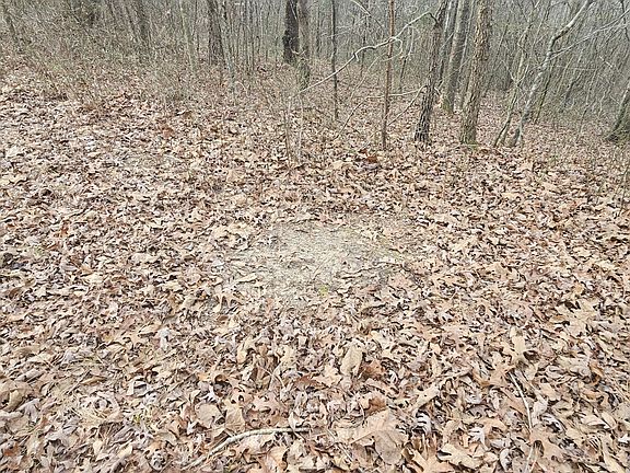 Deer scrape in the center of the property.