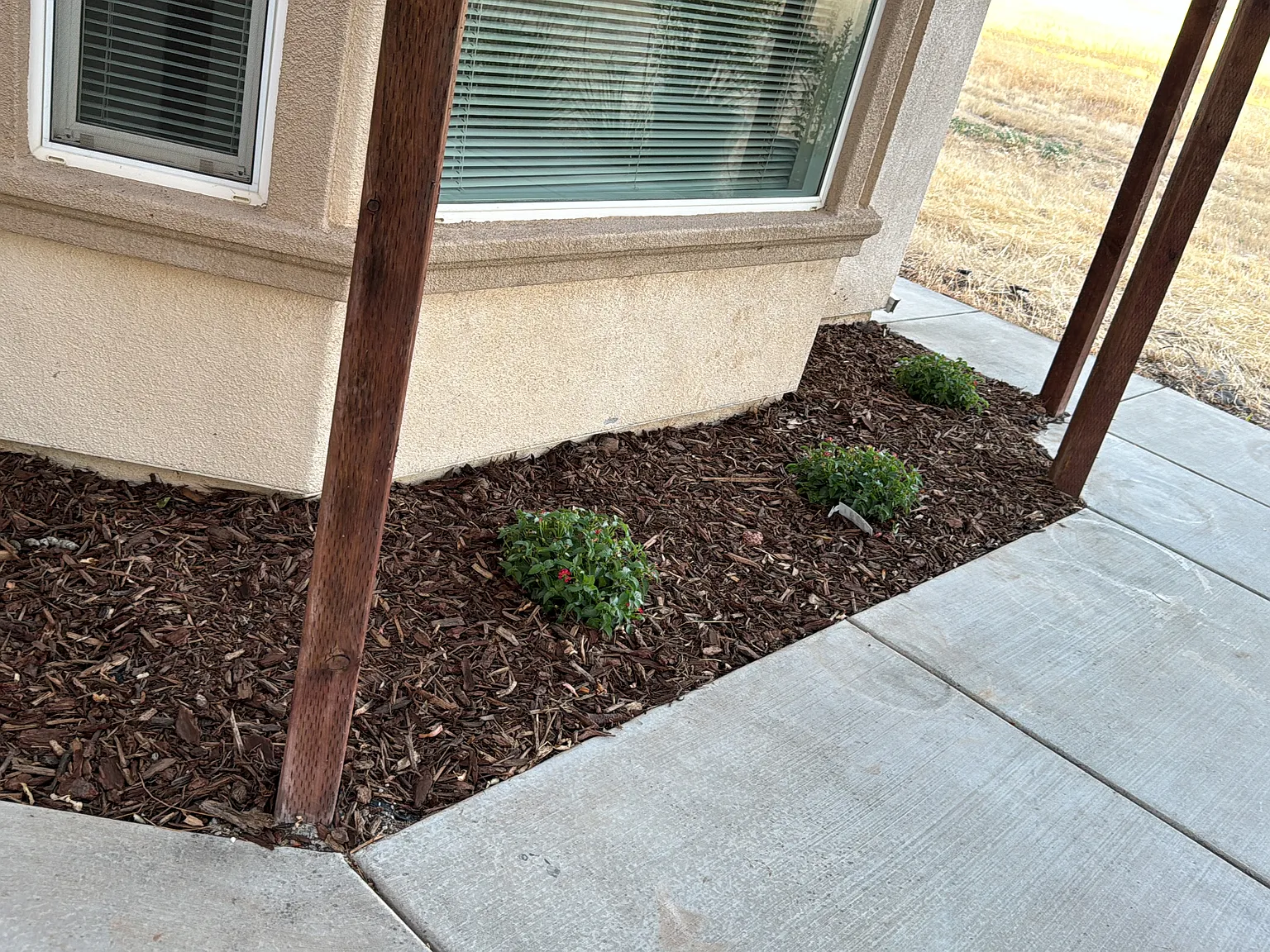2568 Banner Peak Dr — Photo 3