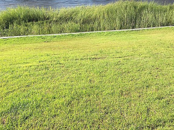 5th image of Palmetto Harbour Dr