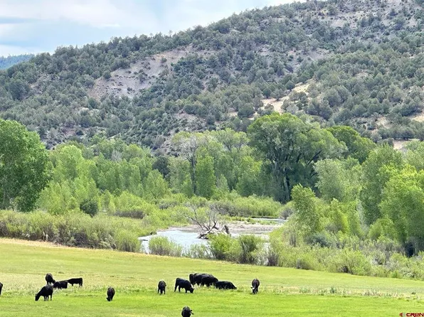 X USFS RD 613, Arboles, CO 81147