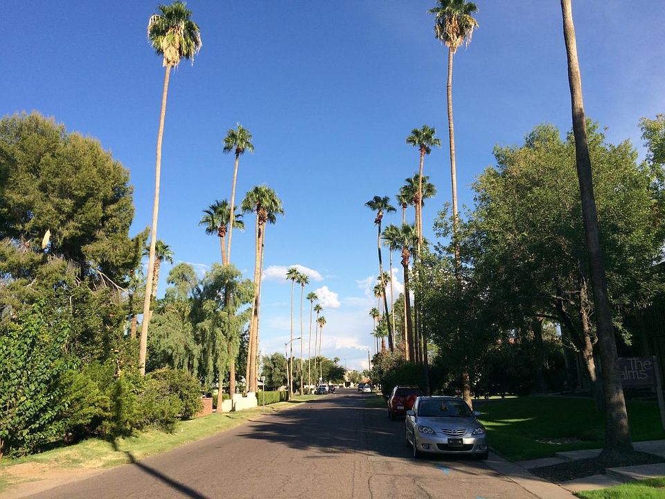 Tree-lined Pasadena Ave