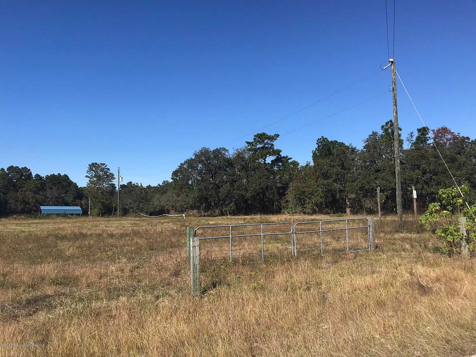 12817 Kitten Trl, Hudson, FL 34669 Zillow