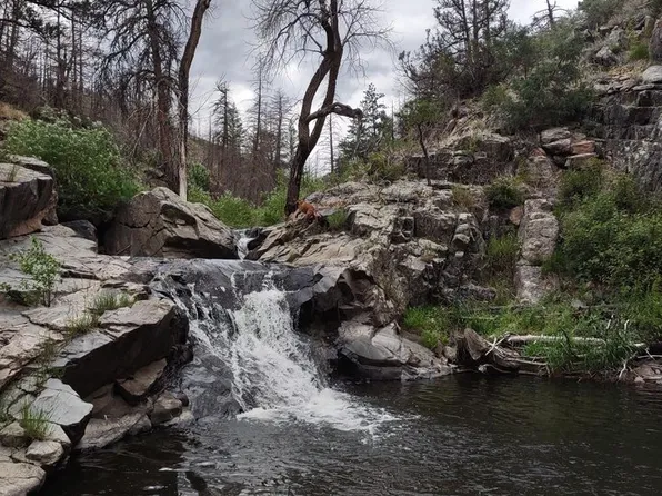 439 Redtail Ridge Way, Bellvue, CO 80512