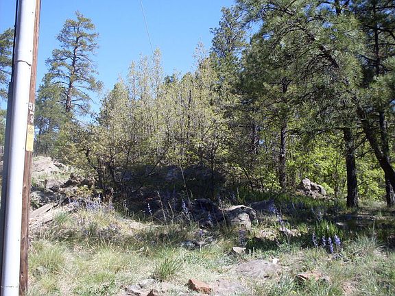 2nd image of 75 W Boulder Trl