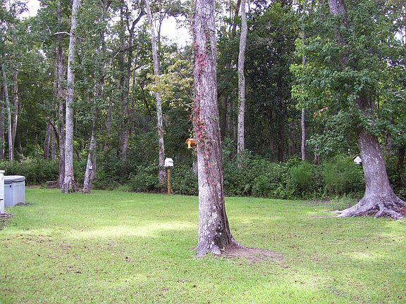 back yard