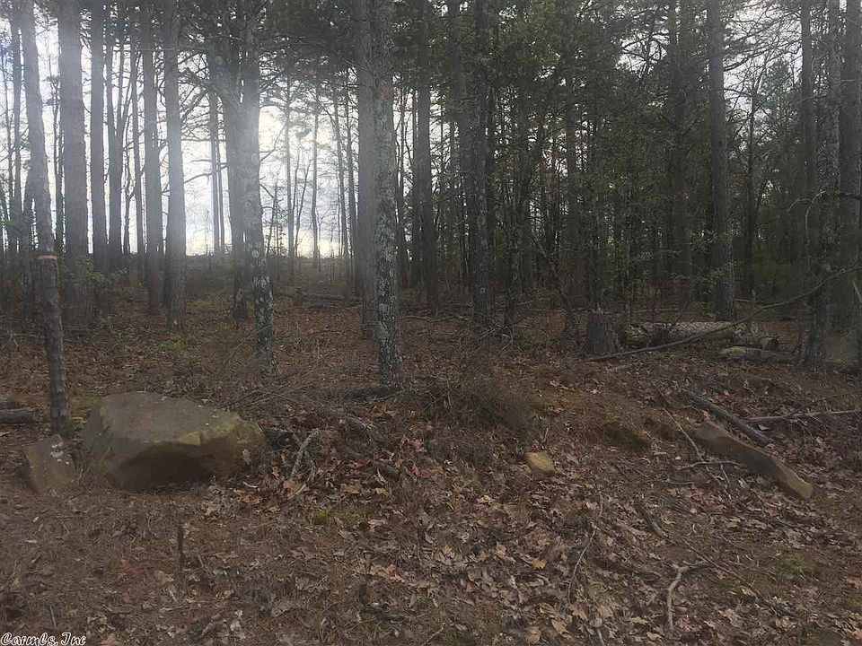 2nd image of 31 Beaverfork Hts