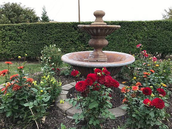 Mature Perennial Landscapes 