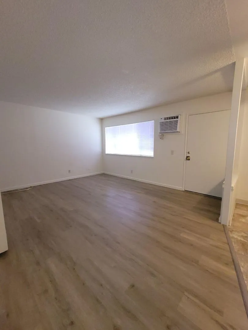 BS116 - WhiteFront — Photo 1