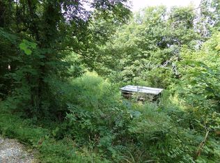 Neddy Mountain Rd, Del Rio, TN 37727