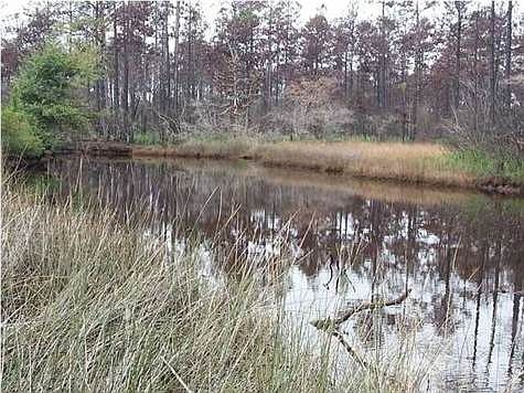 2nd image of 5858 Shady Bayou Ln