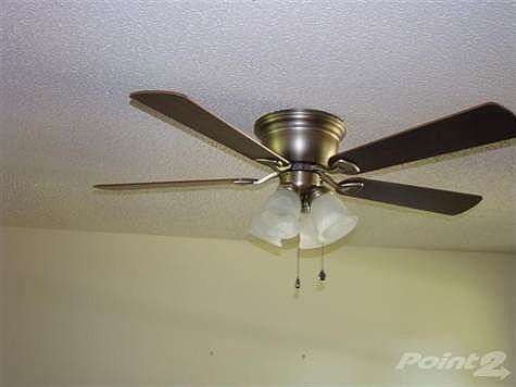 Living room ceiling fan
