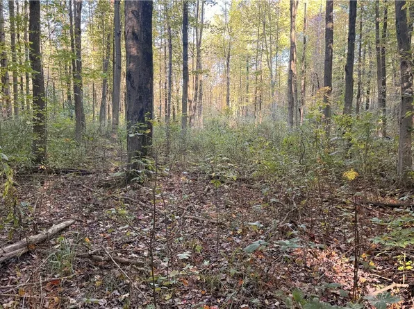 Munson Hill Rd, Ashtabula, OH 44004