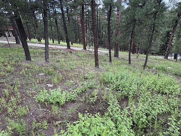 3rd image of LOT 2 Incredible Ln