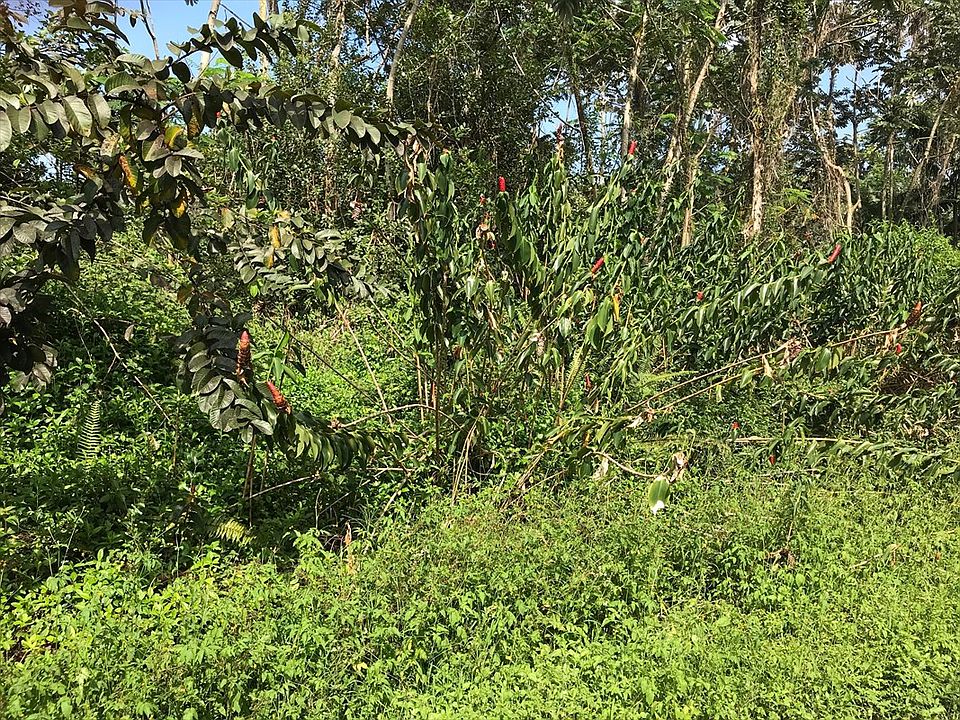 2nd image of Kumu St Lot 689