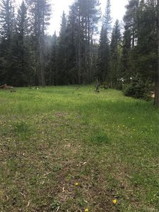 0 Shadow Mountain Drive, Conifer, CO, 80433
