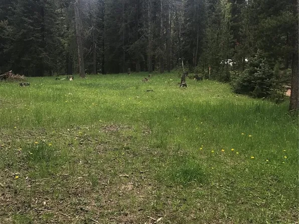 0 Shadow Mountain Drive, Conifer, CO 80433