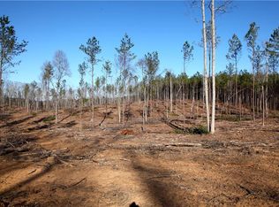 897 Griffin Rd, Cartersville, GA 30120