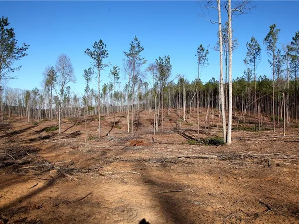 897 Griffin Rd, Cartersville, GA 30120