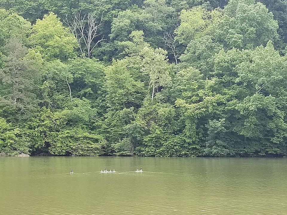SHORELINE NEAR BUILDING SITE