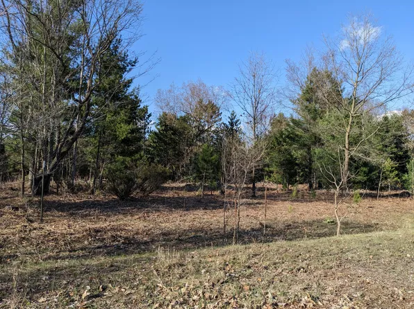 Louhi St, Kaleva, MI 49645