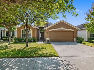 7004 Blue Beech Dr, Riverview, FL 33578