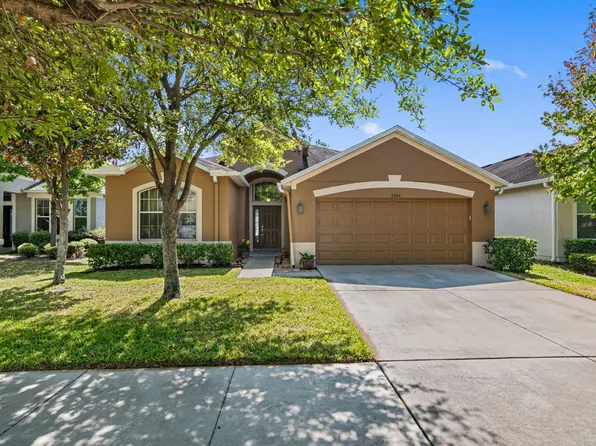 7004 Blue Beech Dr, Riverview, FL 33578