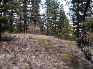 5309 Middle Fork Vis, Fairplay, CO 80440