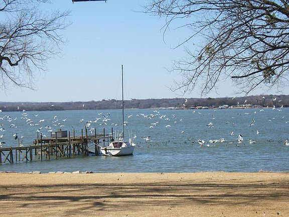 Wildlife near the dock