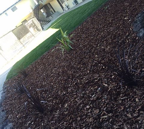 4th image of 420 Grangnelli Ave APT 17