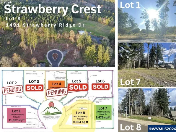 Strawberry Loop #8, Sweet Home, OR 97386