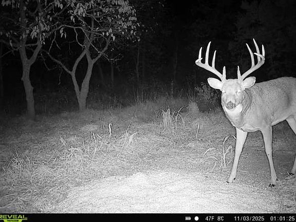 5th image of Cc Rd Lot Wp001