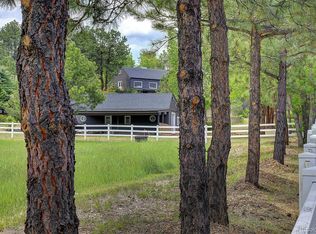 97 Soda Creek Road, Evergreen, CO 80439