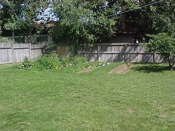 Back yard garden area