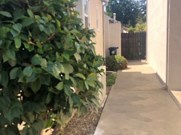 5th image of 1703 Sherwood Ave