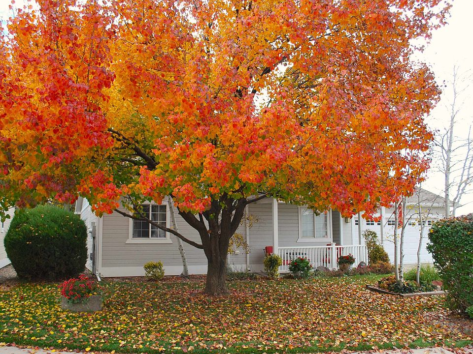 1st image of 2440 Wellington Ct
