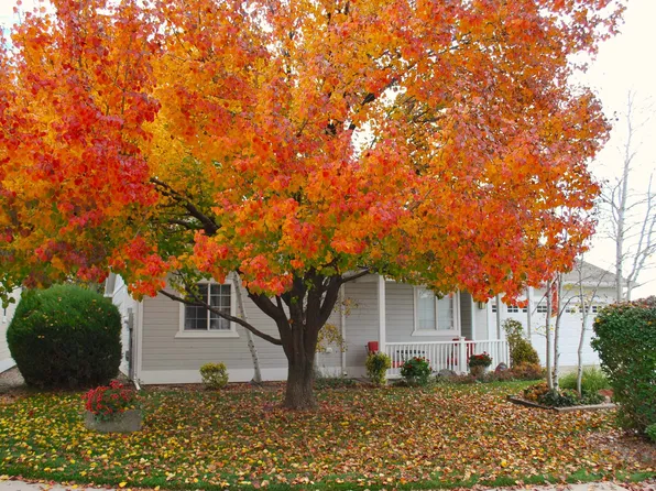 2440 Wellington Ct, Grand Junction, CO 81501