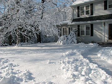 Front yard